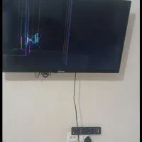 تلوزیون هاینسس