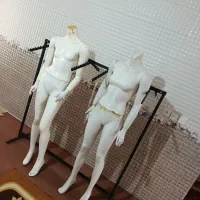 فروش رگال و مانکن درحدنو