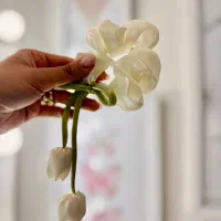 کش مو پینترستی لاله