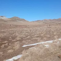 مرغداری گاراژ دامداری