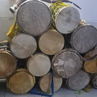 سنج دمام شیپور