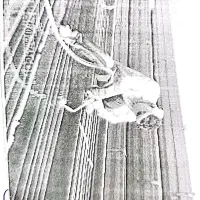 برشکار شمش