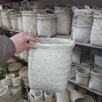 استوانه حصیری