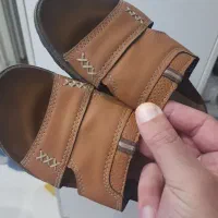 صندل طبی در حدنو