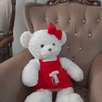 دو عروسک خرسی بزرگ خارجی نو