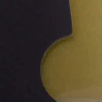 زاگرس پوش
