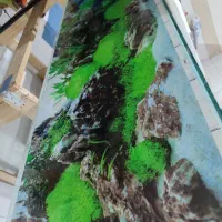 اکواریوم طول ۱.۵متر.سفارشی.درحد نو.جای زایشگاه