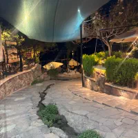 آشپز فرنگی