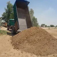 کودمرغی زل