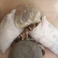 پشم گوسفند