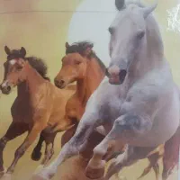 ۲ تابلو زیبا