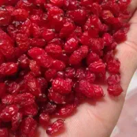 انواع ادویه جات تازه اعلا