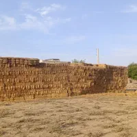 پرس کاه گندم خشک وزن بالا10هزارتا