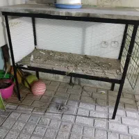 قفس