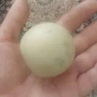سنگ آسیاب به شرط امتحان ازطرف شما