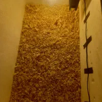 دستگاه جوجه کشی نیمه اتومات