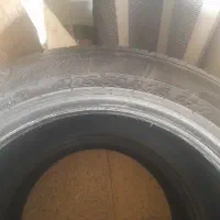 لاستیک تارا