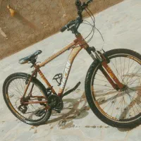 دوچرخه