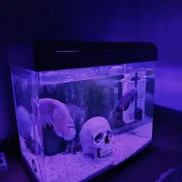 اکواریوم شرکتی AQUA600