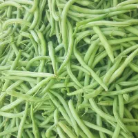 لوبیا کرجی تازه