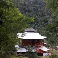 اجاره سالیانه کلبه چوبی با ویوی جنگل