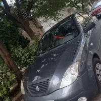 تیبا صندوقدار