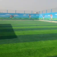 تولیدی چمن مصنوعی