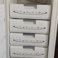 فریزر ارج