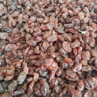 کشمش درجه یک