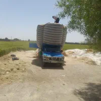 خرید وفروش کاه گندم جو