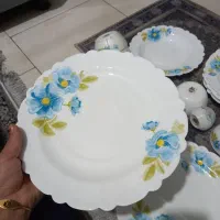 ظروف آرکوپال دو دست مثل هم