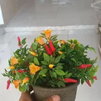 گل مصنوعی