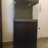 آکواریوم شیشه خم شرکتی