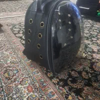 کوله حمل پرنده و...