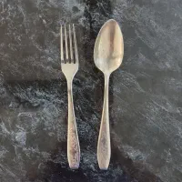 سرویس ورشو اصل