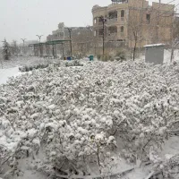 متقاضی مشارکت در ساخت فاز ۵ سازنده بنام