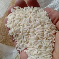 برنج علی کاظمی