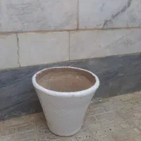 گلدان