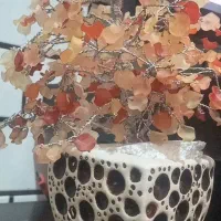 پارافین مایع