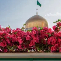 پیش ثبت نام تور ریلی مشهد (مهرماه)
