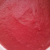 رب خانگی درجه یک