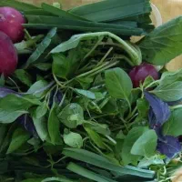 سبزی خوردنی
