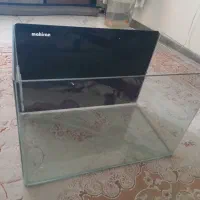 آکواریوم شیشه خم