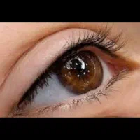 ورکشاپ آموزش آرایش دائم