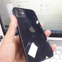 12 normal