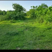یگ قطعه زمین ۲۲۰ متری نزدیک ساحل جفرود