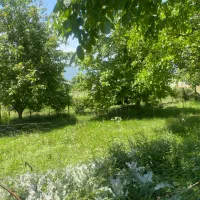 زمین۱۳۵ متری در روستای کوهپر