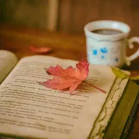 آموزش گرامر زبان انگلیسی