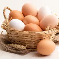 موادغذایی