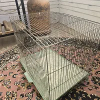 قفس پرنده